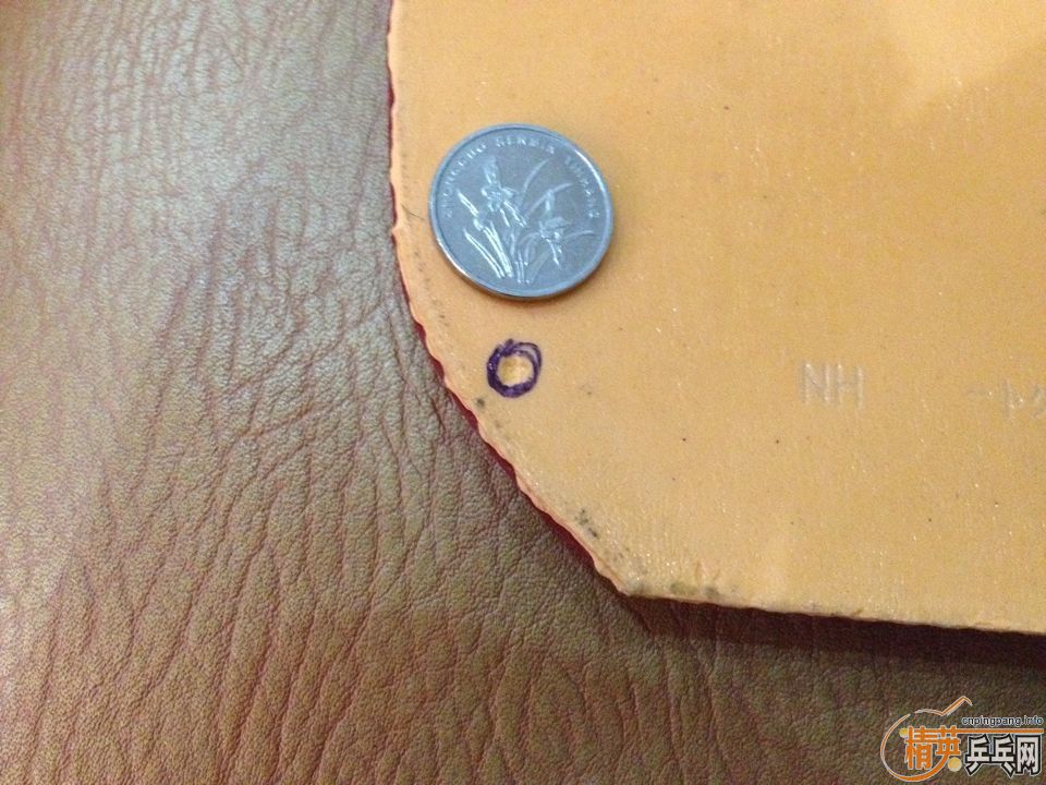 ����ɫ����ELֱ�Ŀ��𩷴������110����