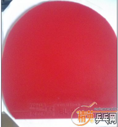 ͦ��ELP����׽�