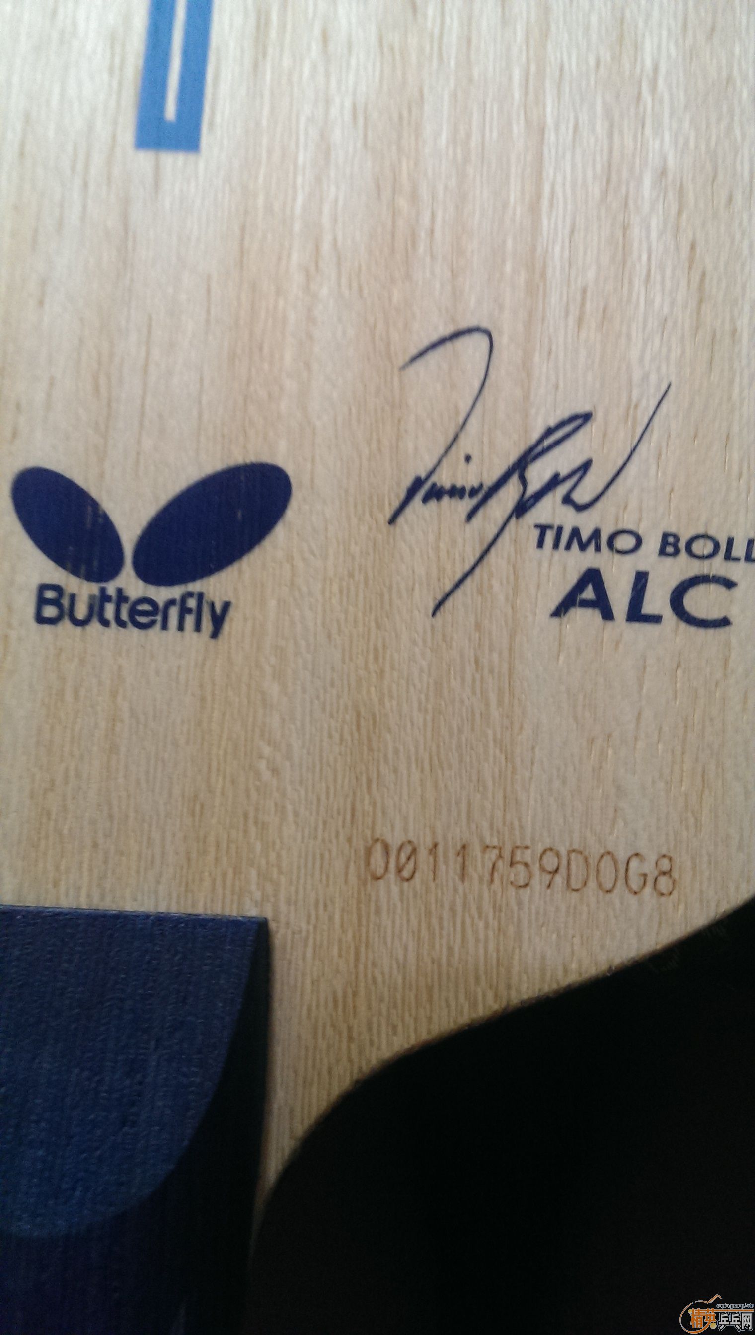 ��boll alc����