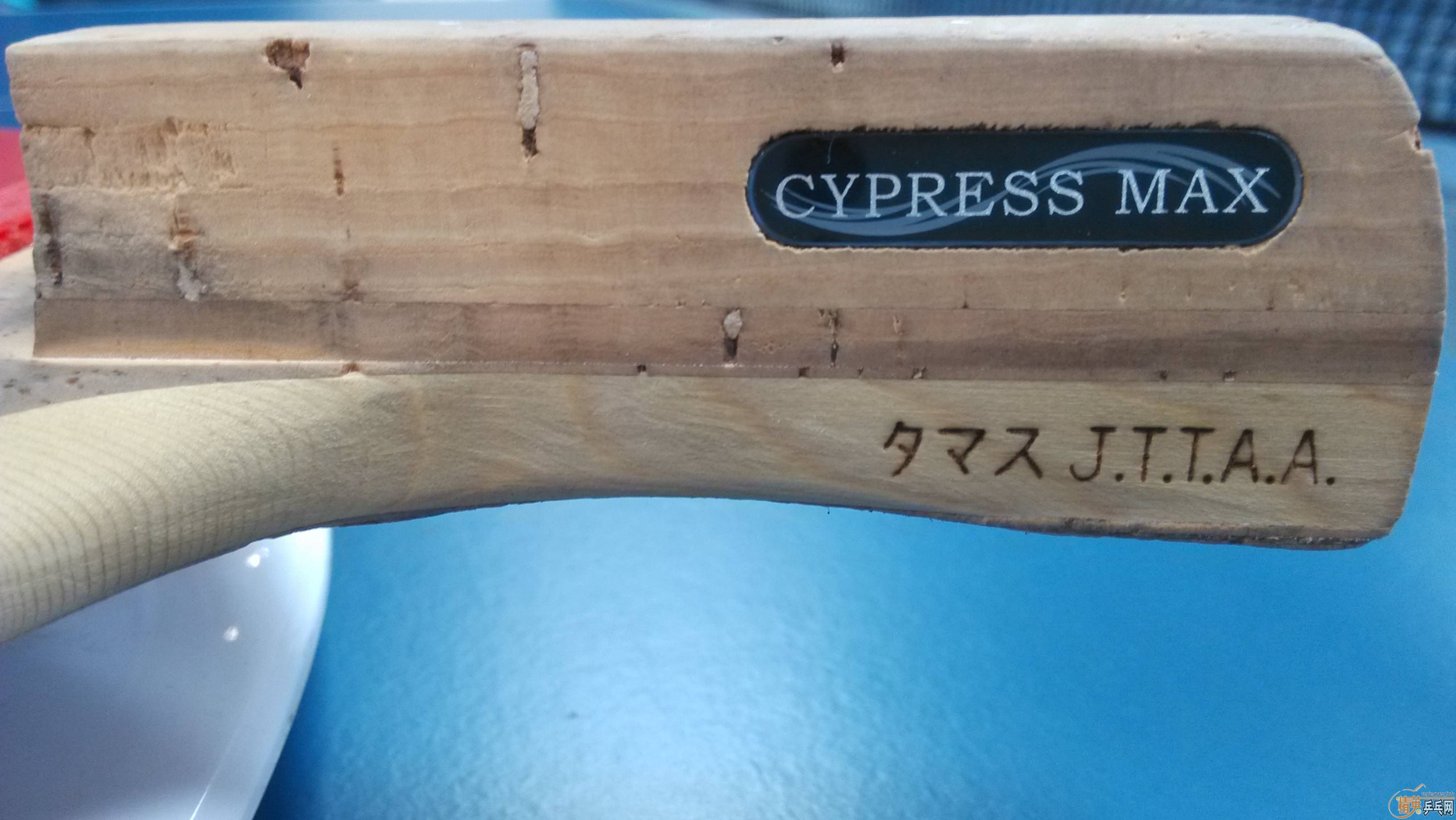ֱ CYPRESS MAXEL-P