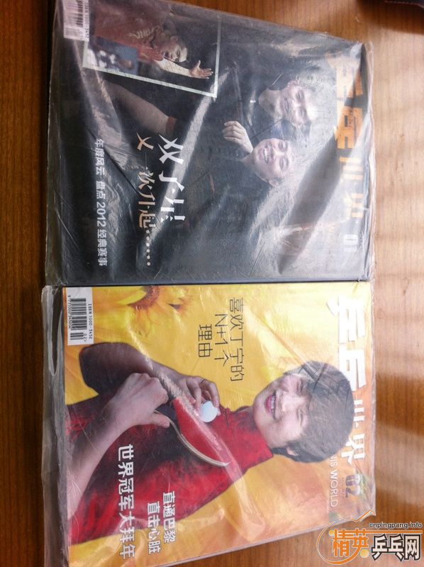 �����--ȫ��ƹ������  2013��  ��һ��    �ڶ��� ��  �ʷ�����