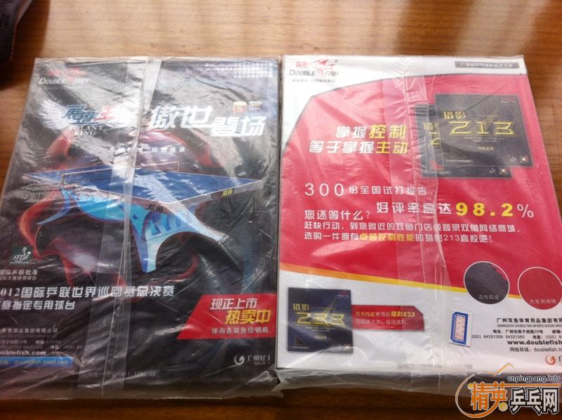 �����--ȫ��ƹ������  2013��  ��һ��    �ڶ��� ��  �ʷ�����