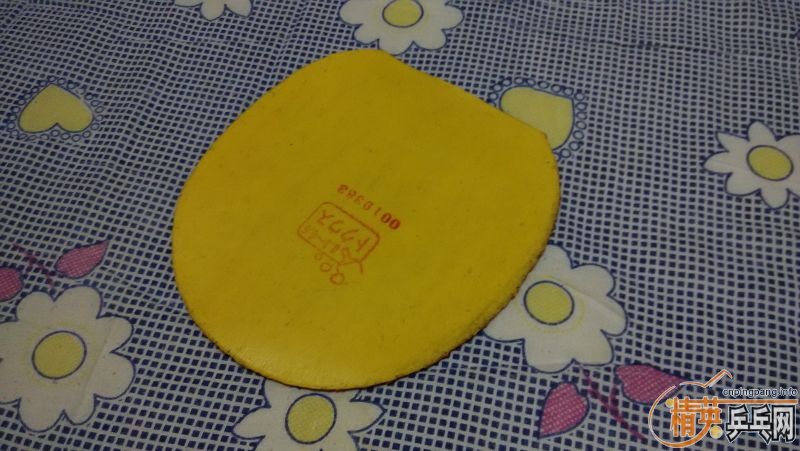 TSP�����׽�P-1R