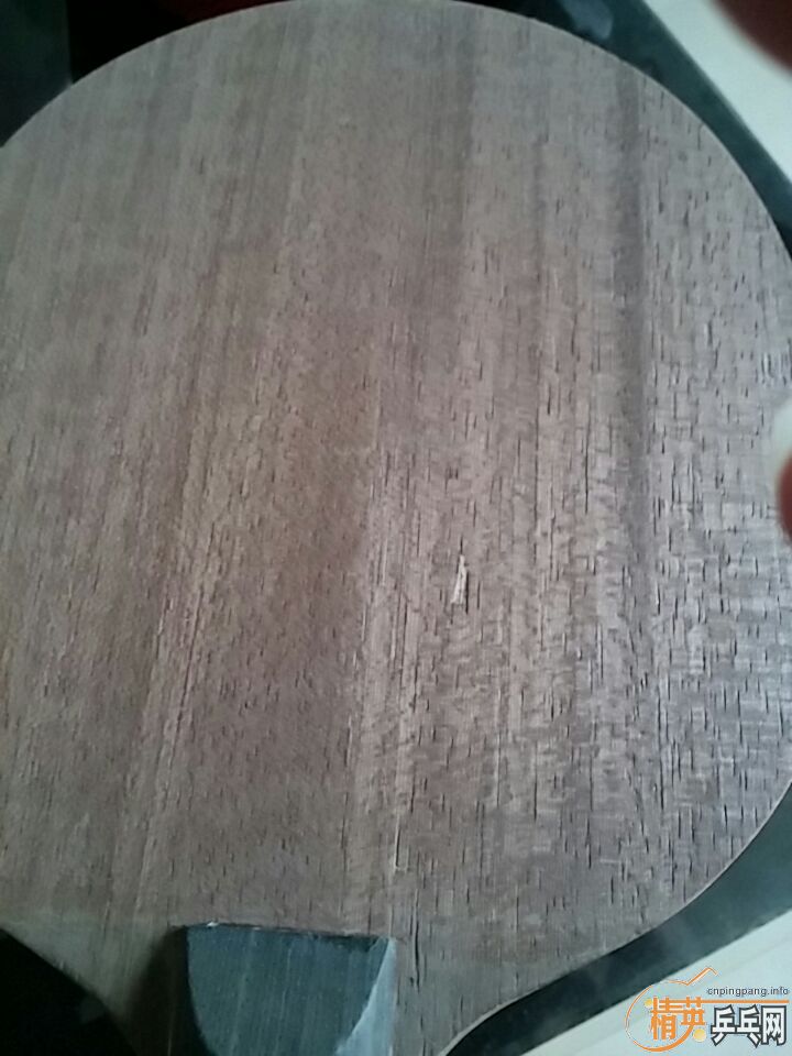 ���ʿ���������5