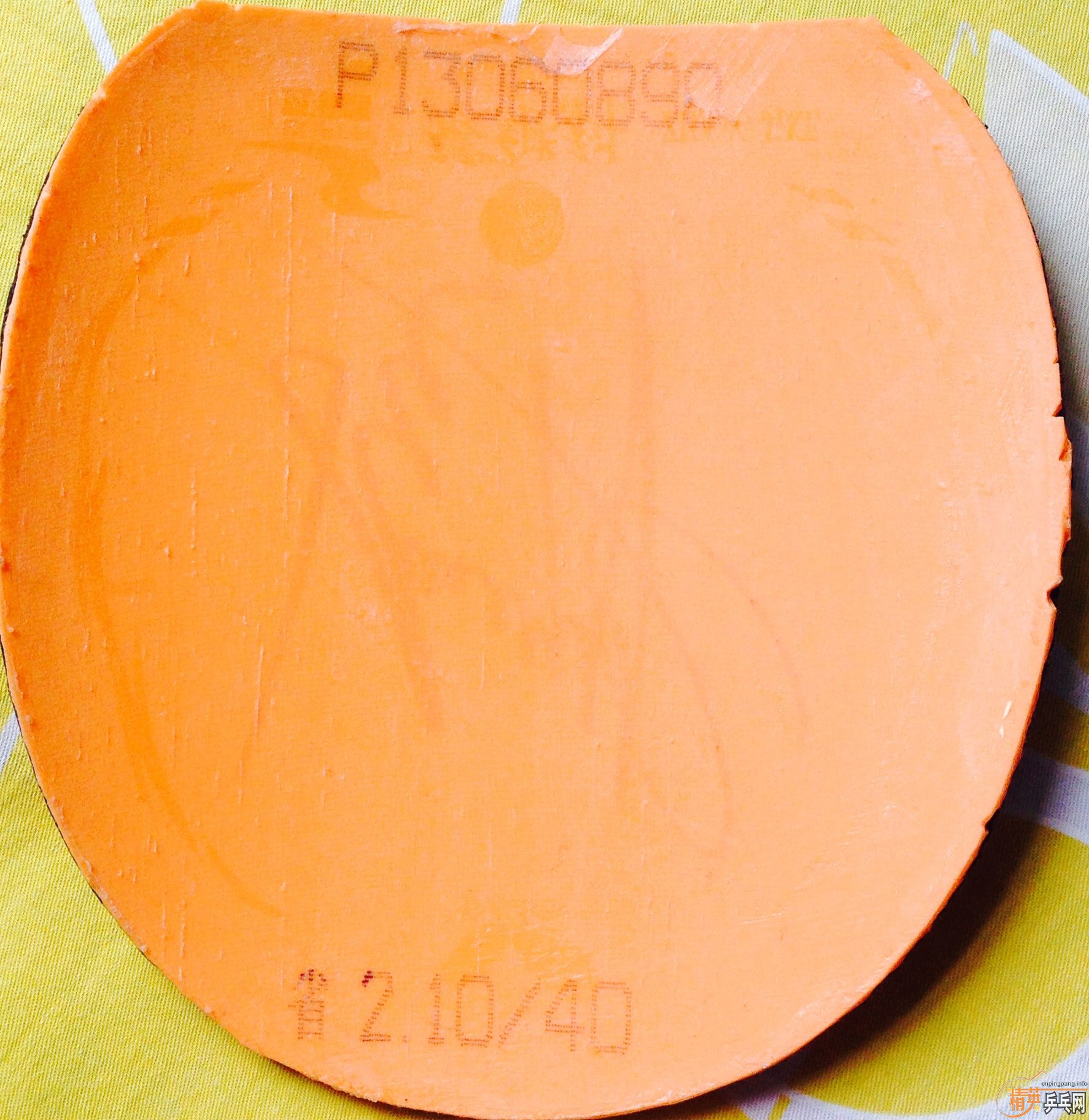 ���80���ʳ�ֻ����һ�εĺ�ɫ���ʡ��40�ȡ���ϵ1287128456!