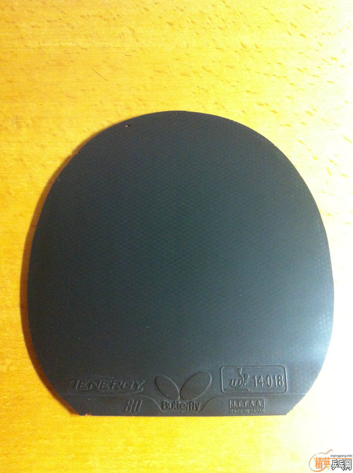 TENZONET80