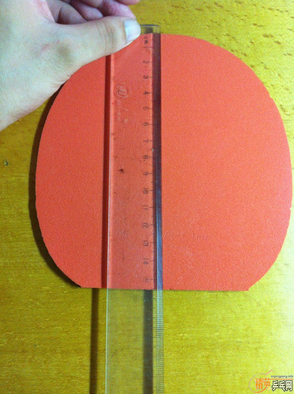 TENZONET80