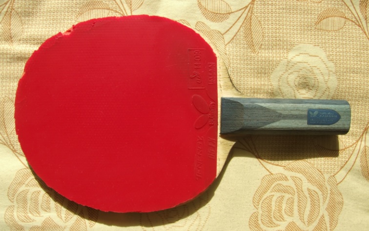 �����ѳ�Ƥ�����壬��05FX����ά��PRO����05��