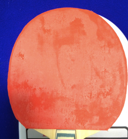 ��һ�Ѻó�ɫ��viscaria��t64�׽���������