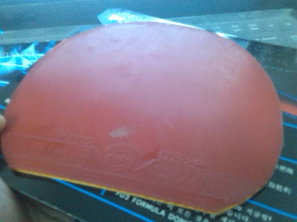 vega japan,729 08����쭣����60