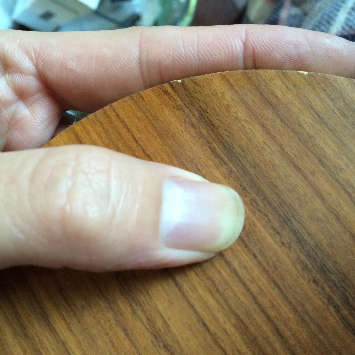 2�� ���� ���ƣ�1�����1��EL��95�� ���� õ��5