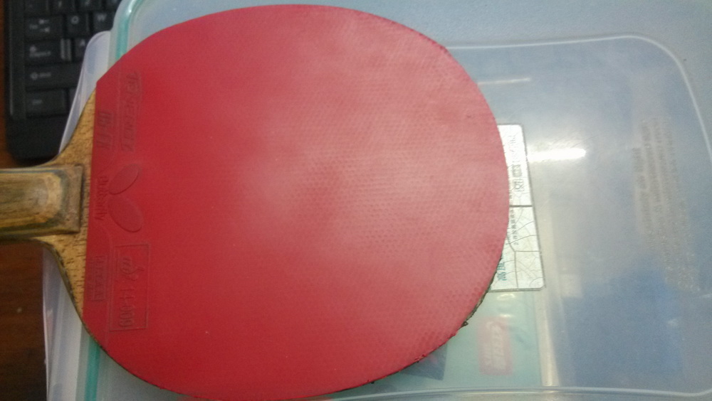 ����ɫ1.9�����T05FX