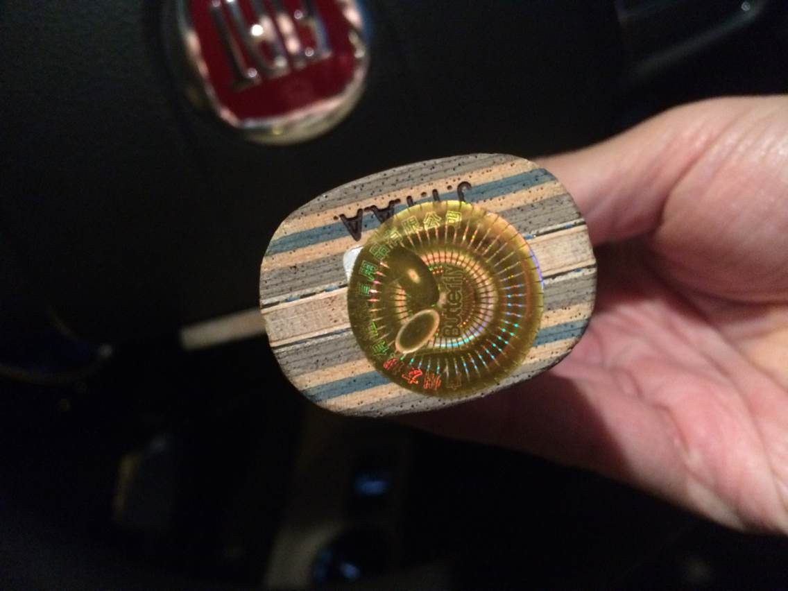 �����ѳ��壩L���л�VIS��87�ˡ�