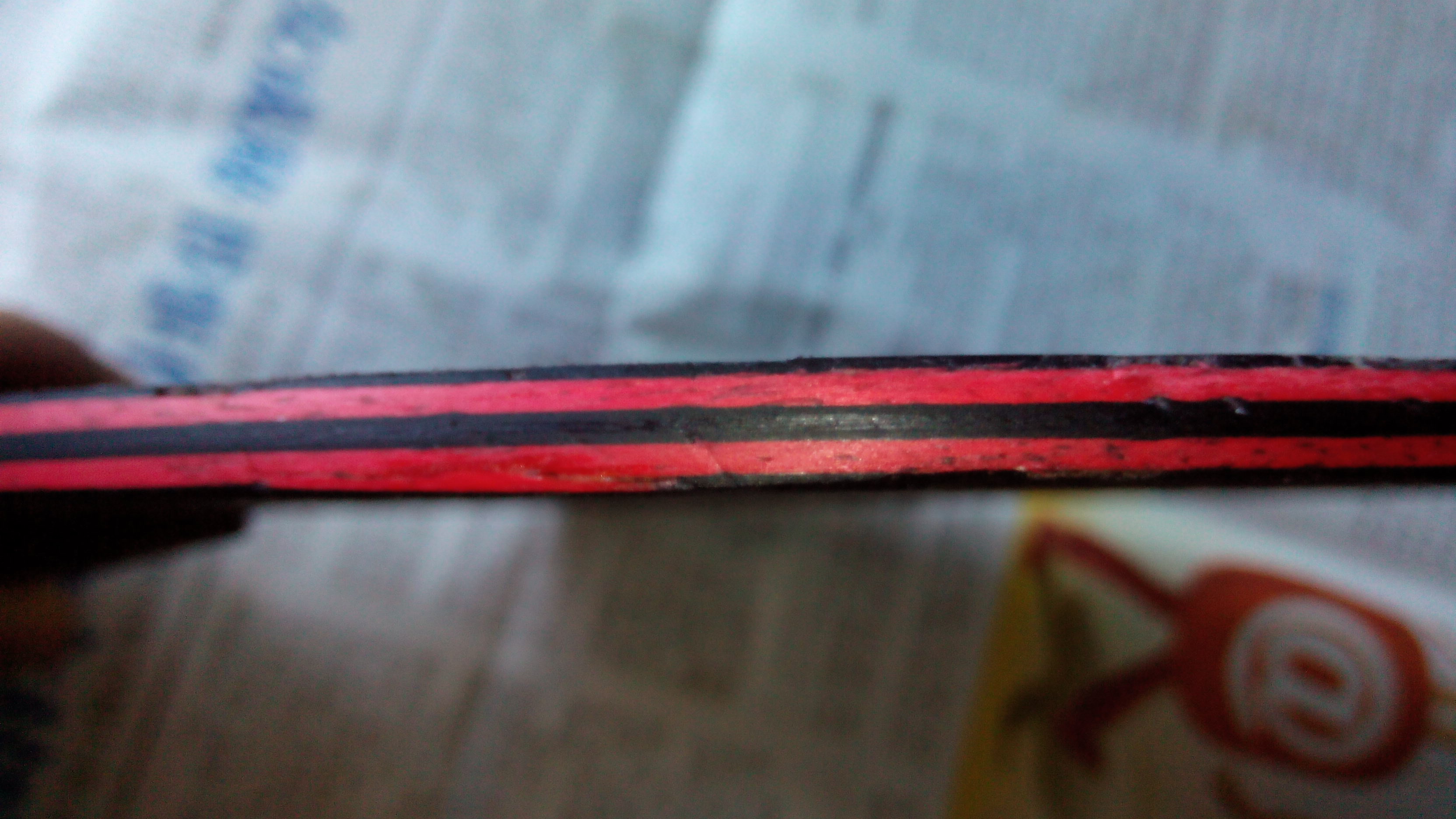 300������̼��9.8ֱ��һֻ