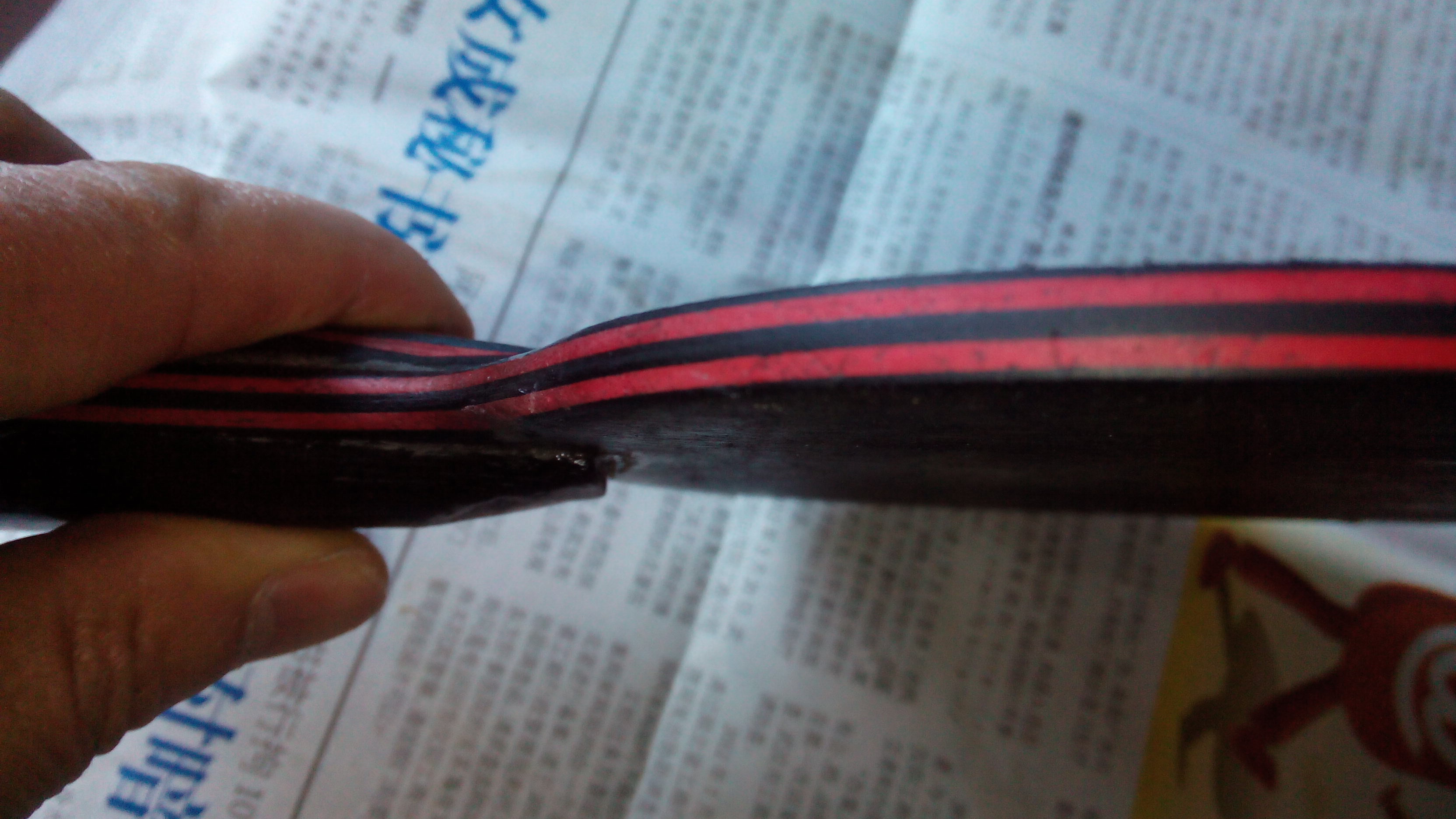 300������̼��9.8ֱ��һֻ