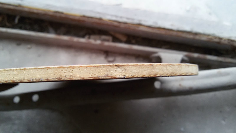 �л��п���õ��5���ѣ��ͼ�