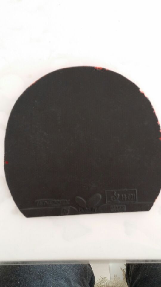 �����ѳ���T05��8�£���������������������������