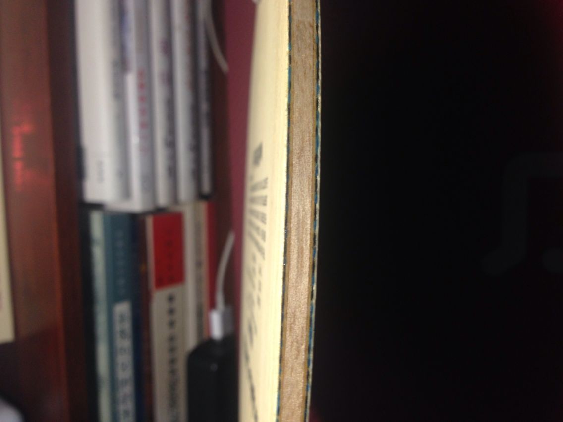 �����հ�����VIS