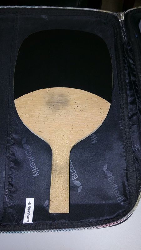 ����֧������ʽ����