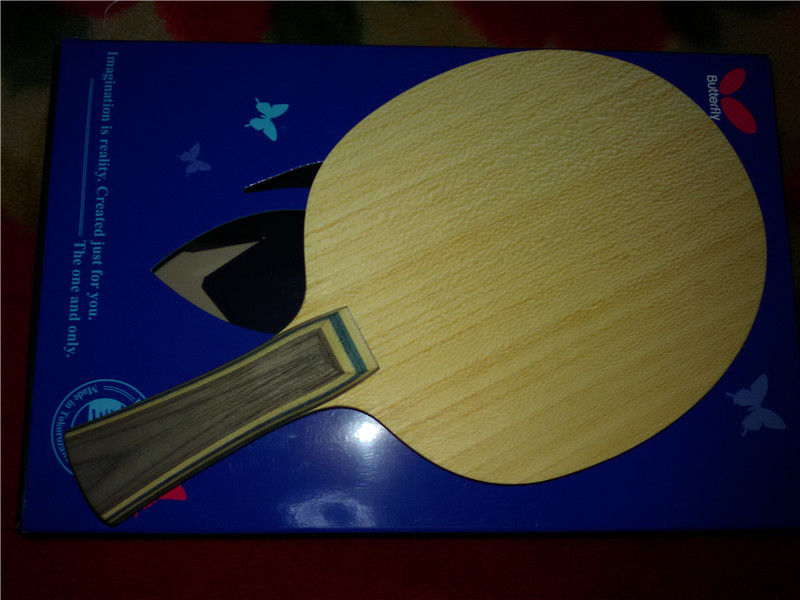 ��עVIS FL 93��������