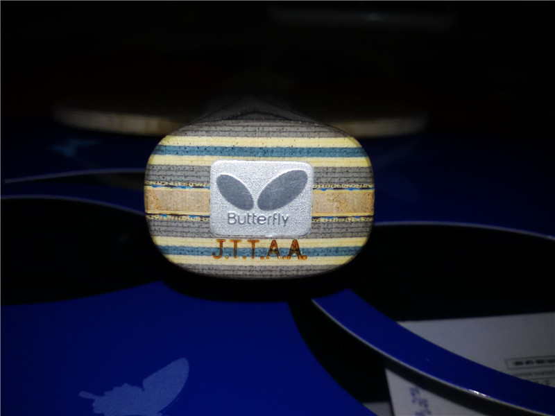 ��עVIS FL 93��������