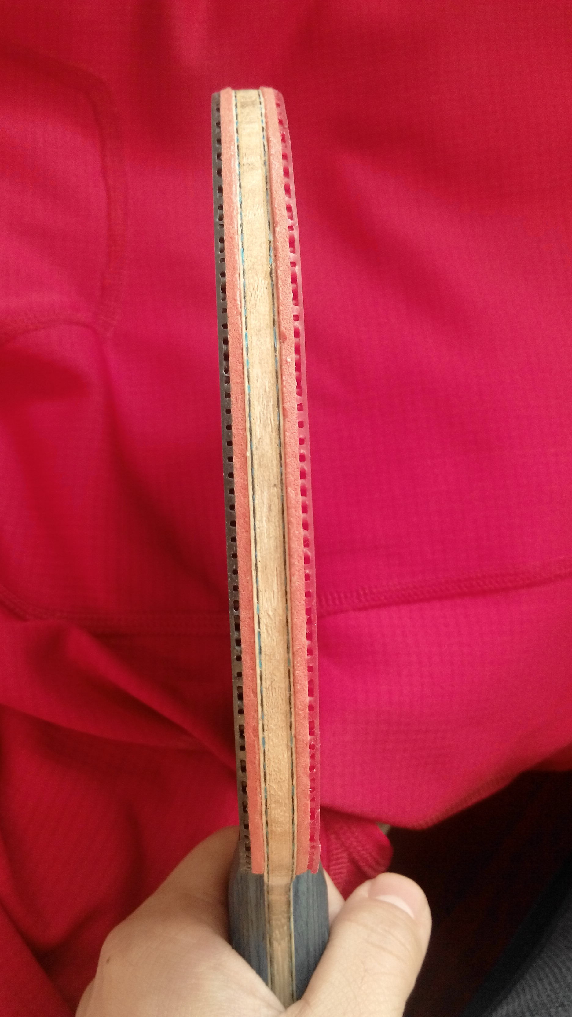 9��С����<<����ALC>>�����ó�1050��˳��