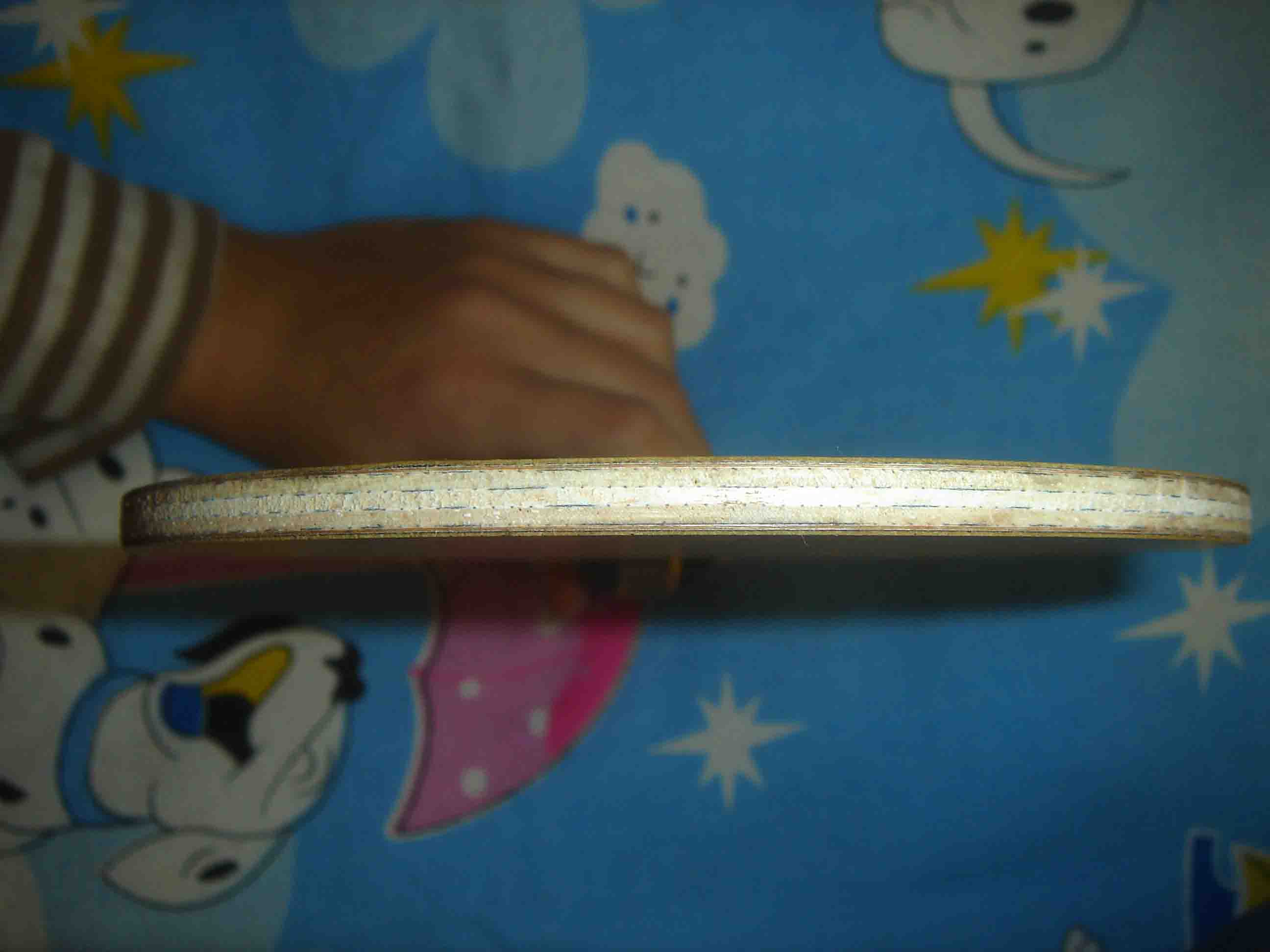 360�������������հ�YASAKA 17��