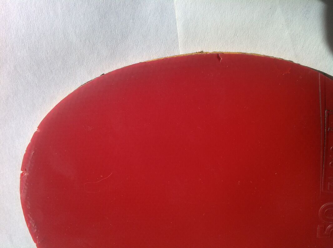 ʡ��39��40��neoʡ��37��ͦ��fxp 5Q