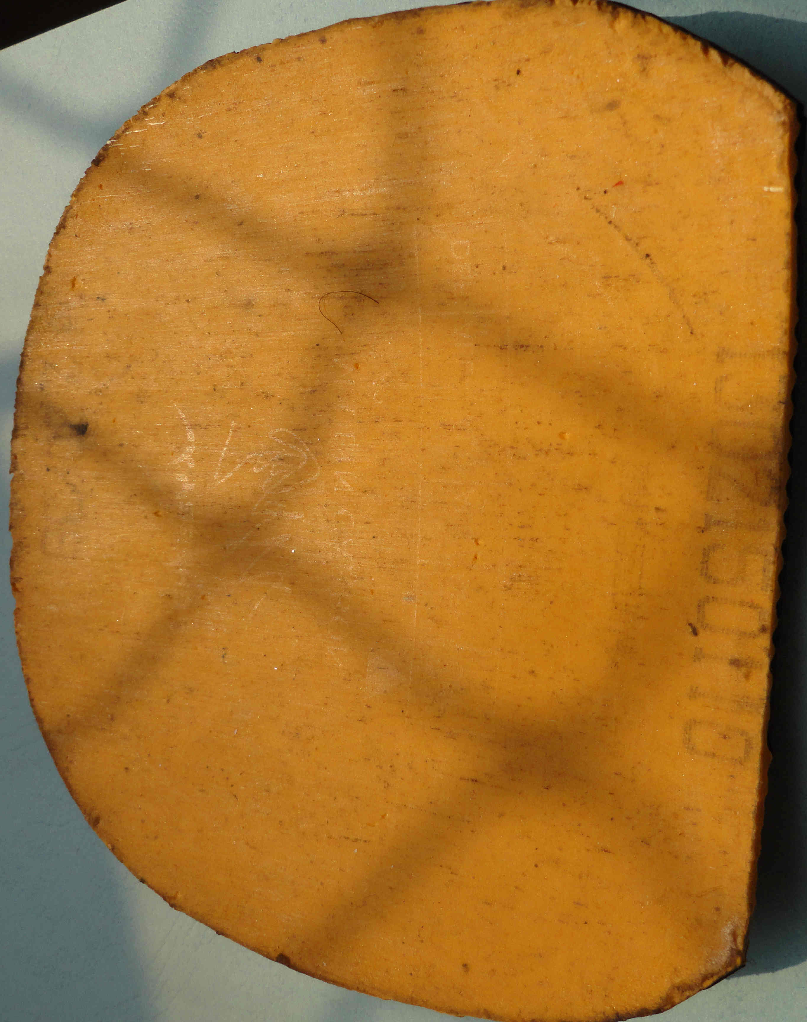 ����12�Ž�Ƥ��t05fx��el��430������neo�켫