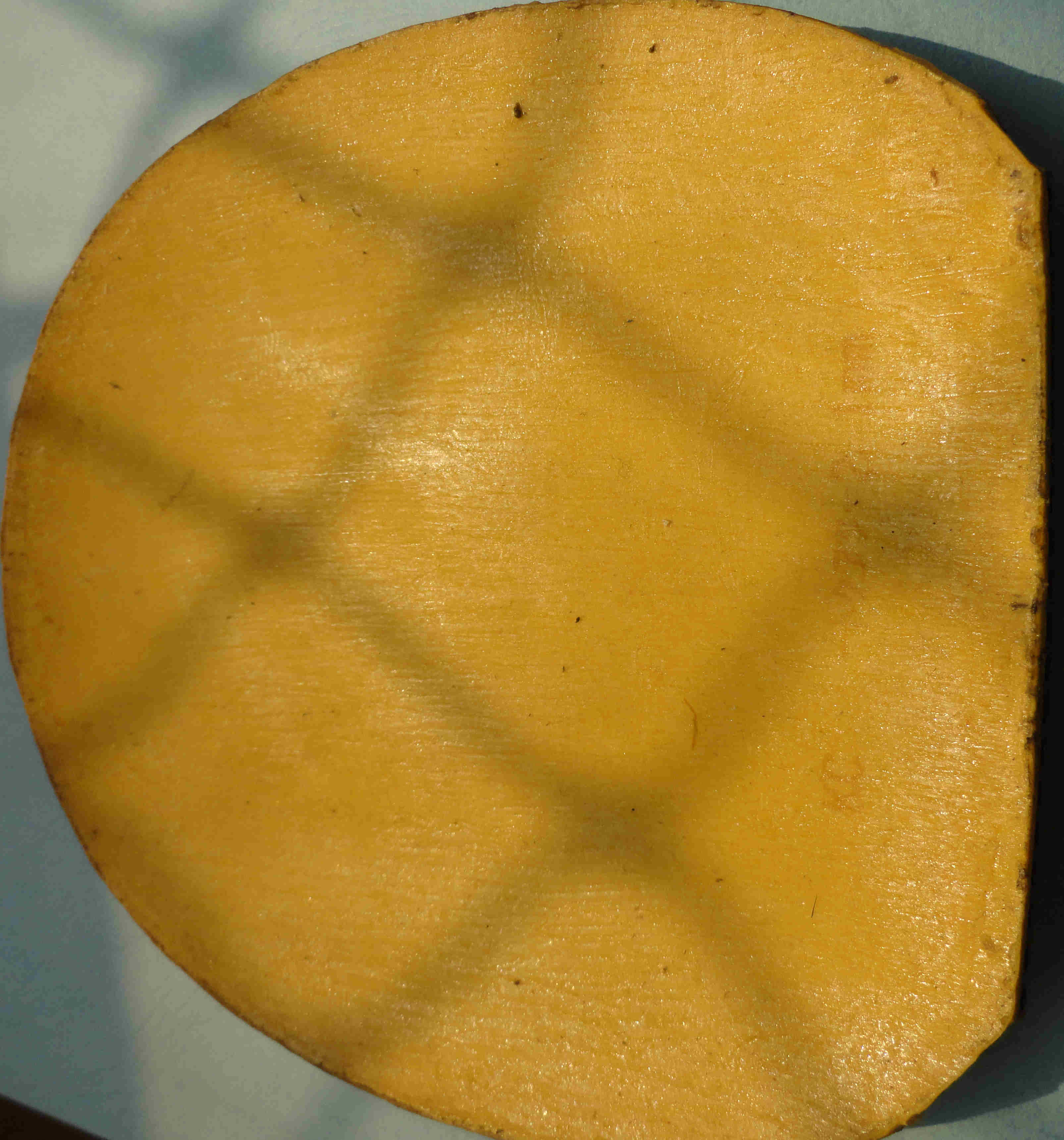 ����12�Ž�Ƥ��t05fx��el��430������neo�켫