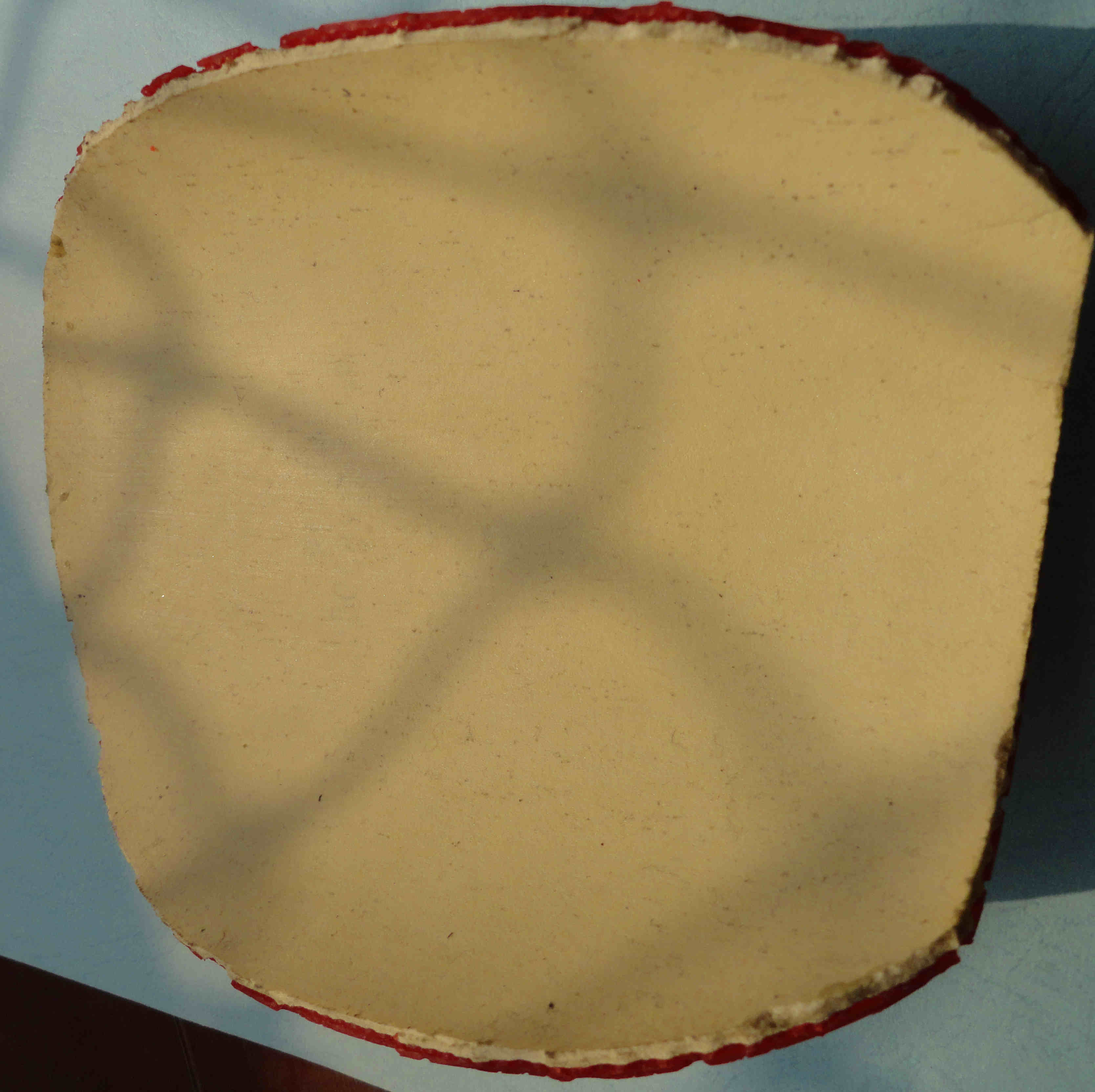 ����12�Ž�Ƥ��t05fx��el��430������neo�켫