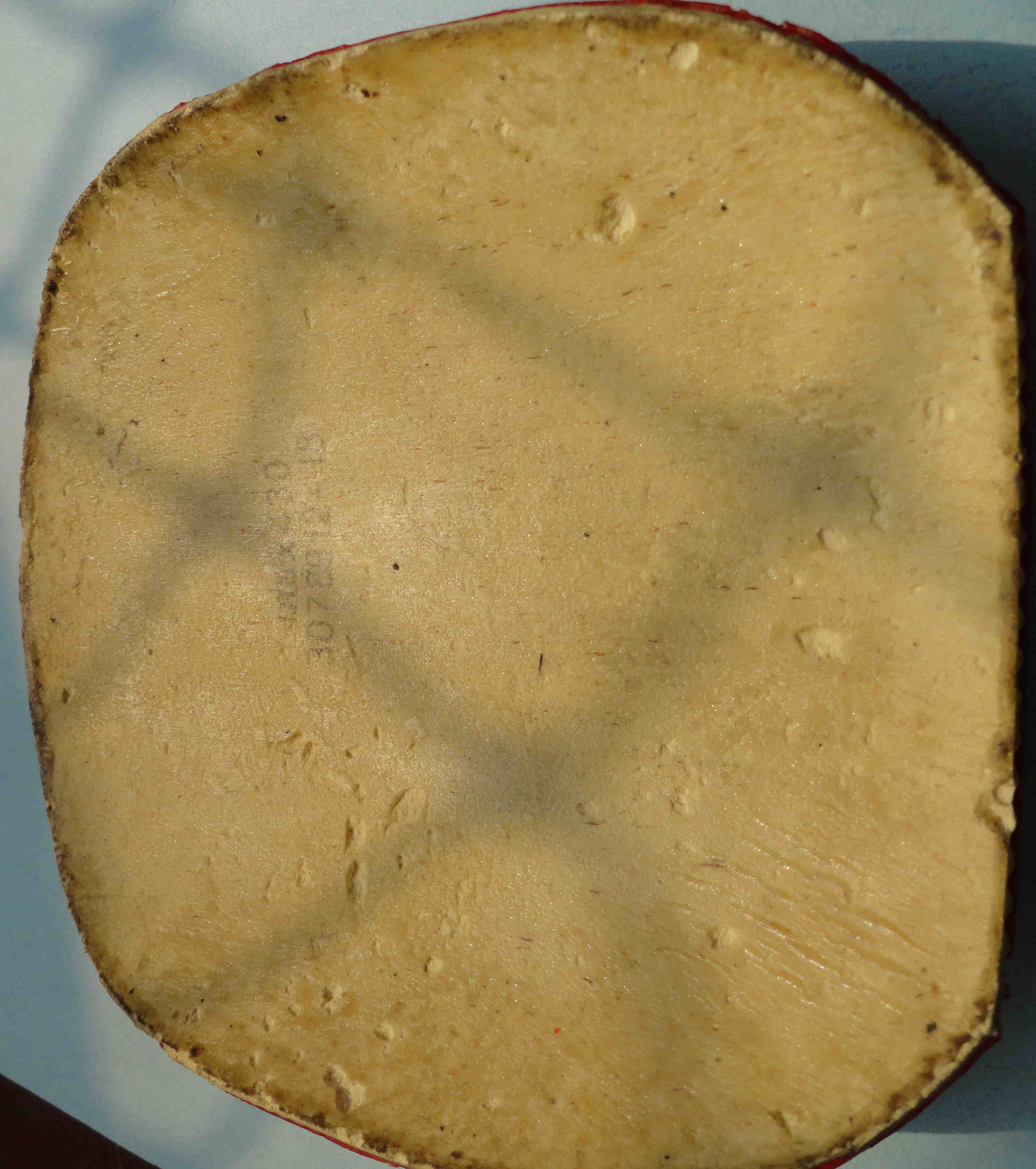 ����12�Ž�Ƥ��t05fx��el��430������neo�켫