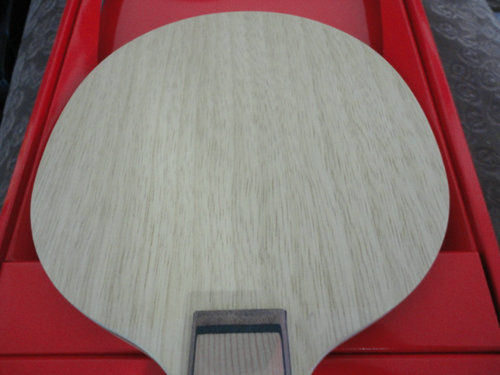 ���ִ���FL