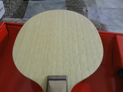 ���ִ���FL