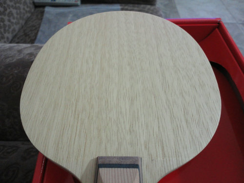 ���ִ���FL