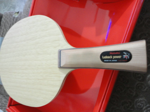 ���ִ���FL