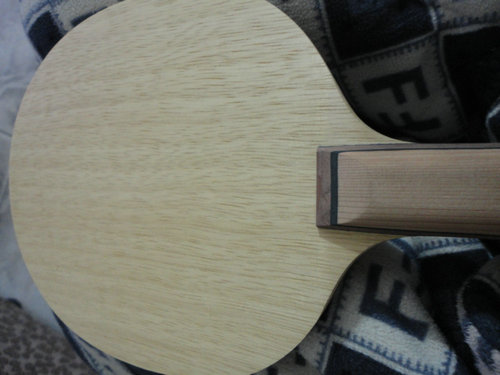 ���ִ���FL