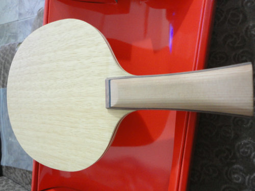 ���ִ���FL