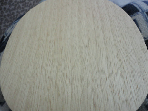 ���ִ���FL