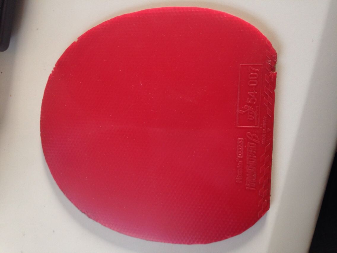 ������ ���ɵ±���B  65����˦��