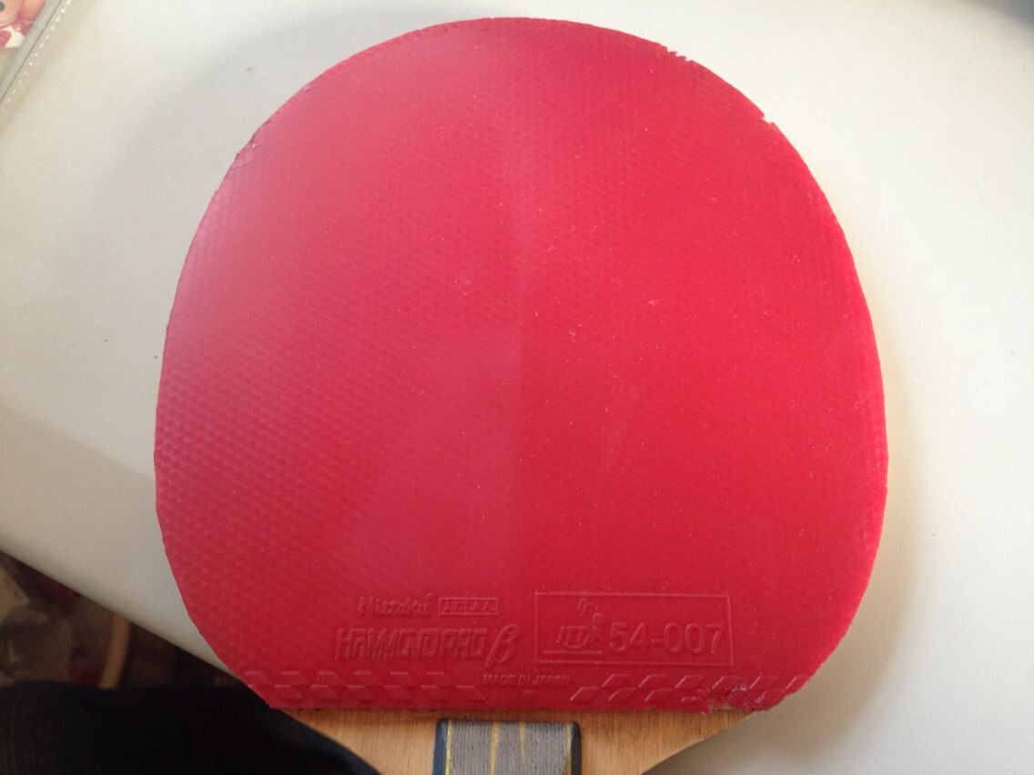 ������ ���ɵ±���B  65����˦��