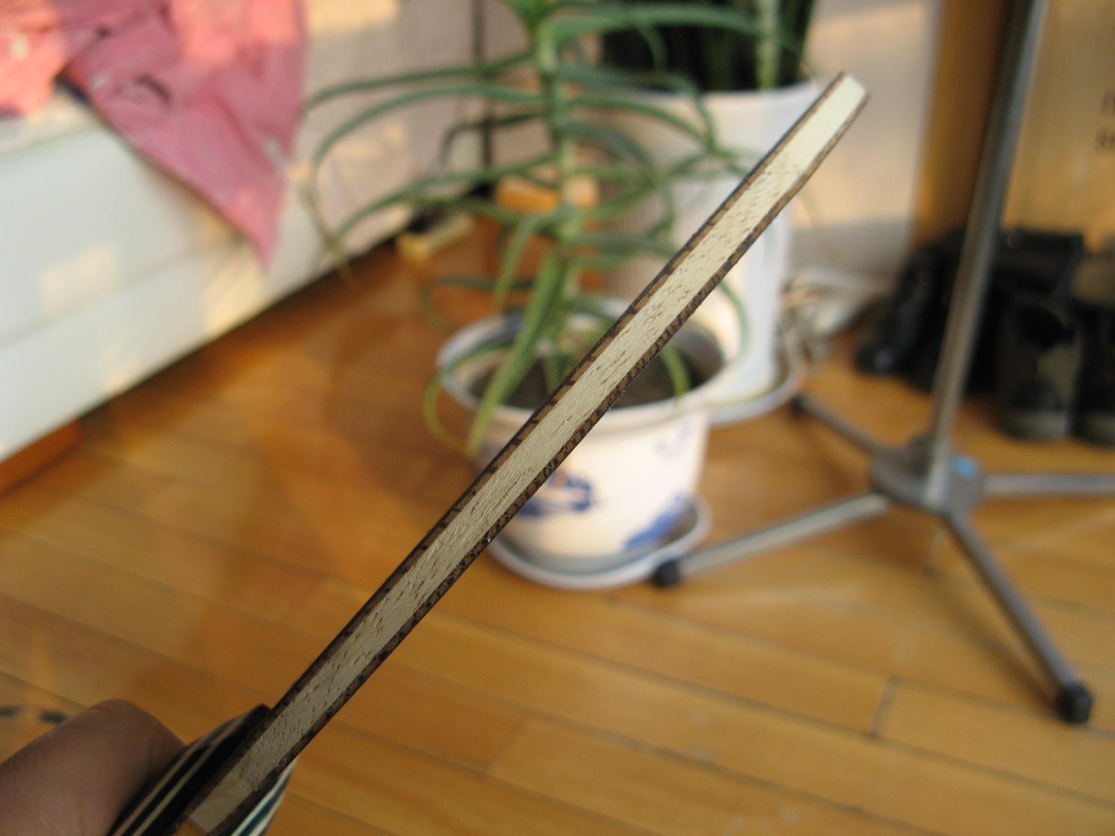 �л�˹�ٿ������