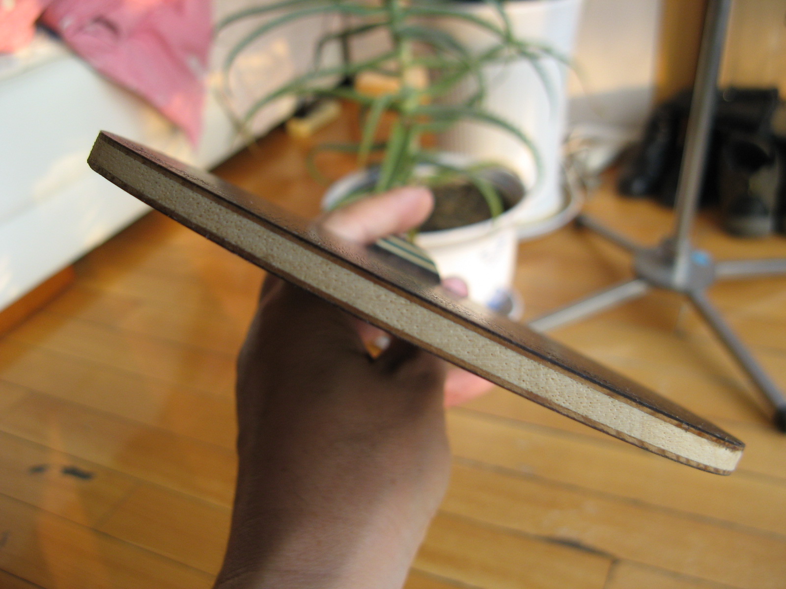 �л�˹�ٿ������