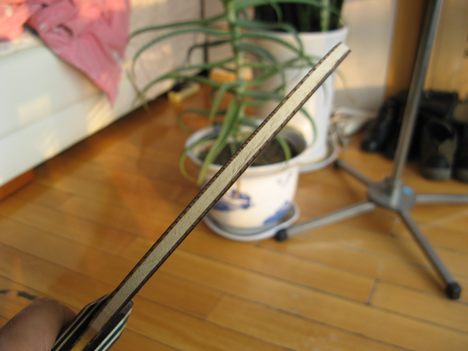 �л�˹�ٿ������