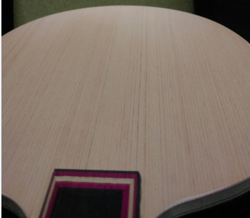 ����ʩ������̼ST