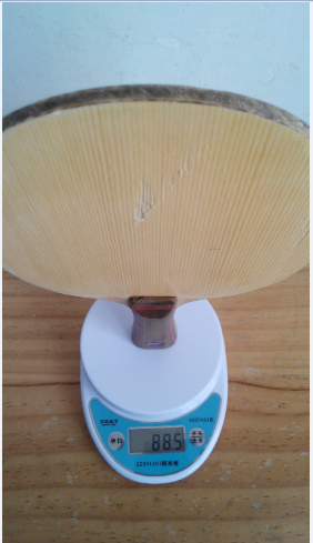 [ԭ��]200������T8�װ�������������������ְ��¿��3-50