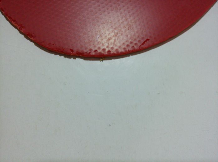 ��T25��T64��T80����Ϊ��ֱ���棬���ֳ�ɫ��