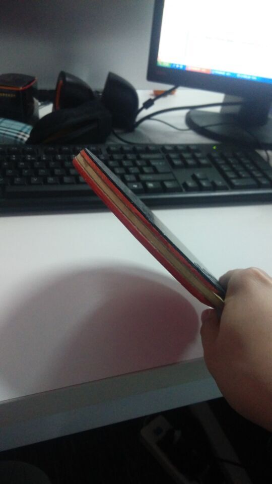 ���룡�������������������� �ʺ�������