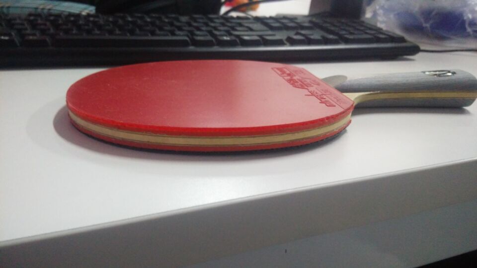 ���룡�������������������� �ʺ�������