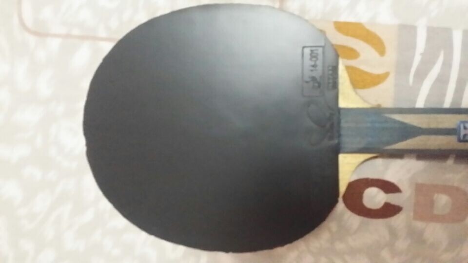 ���ų�ɫ�����ĺ�ɫT05